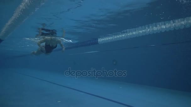 Женщина-пловчиха в черном купальнике, плавающая под водой — стоковое видео