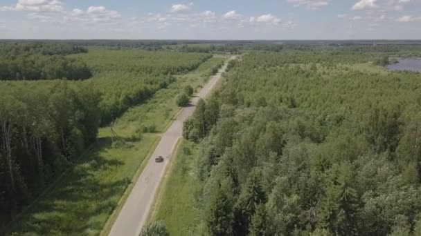 El coche está en la carretera en el bosque. Paisaje aéreo — Vídeo de stock