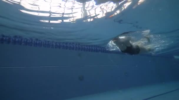 Sport donna nuoto farfalla ictus in blu piscina d'acqua vista subacquea — Video Stock