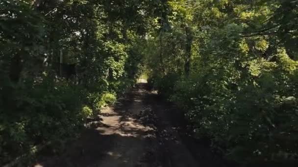 Vista da paisagem do carro militar em movimento na estrada da floresta ao alcance de tiro — Vídeo de Stock