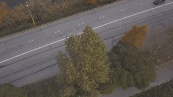 Drone vue camions et voitures se déplaçant sur la route sur fond automne nature — Video