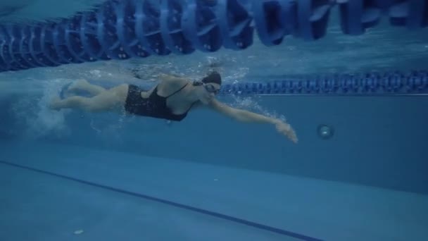 Mulher nadadora nadar rastejar curso no caminho na piscina de água transparente 60 fps — Vídeo de Stock