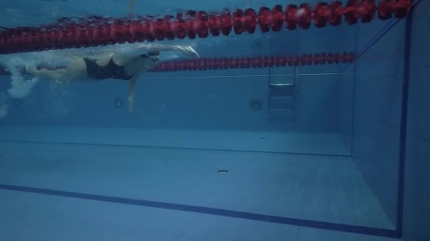 Γυναίκα επαγγελματίας κολυμβητής επιπλέουν ανίχνευση εγκεφαλικού επεισοδίου στην πισίνα και τη στροφή υποβρύχια — Αρχείο Βίντεο