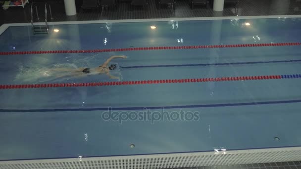 Sport donna nuotatore galleggiante striscia ictus in piscina d'acqua luminosa — Video Stock