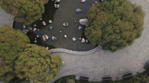 穿白色连衣裙的年轻女子走过城市公园小池塘的小径 — 图库视频影像