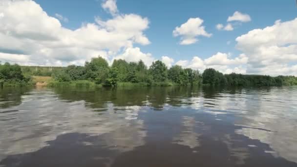 Nature paysage journée d'été et vert plante et arbres sur le rivage — Video