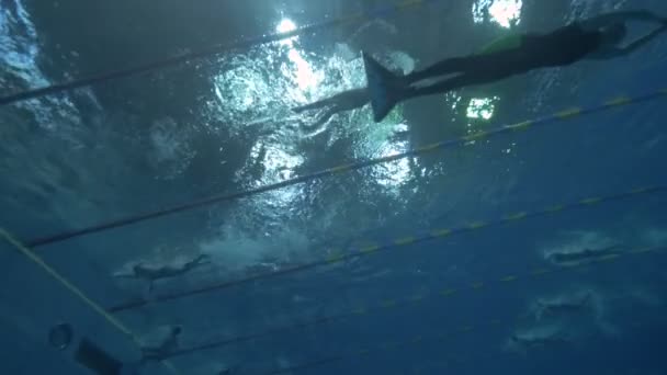 Homens em chinelos mono subaquáticos na piscina durante o treinamento de mergulho livre — Vídeo de Stock