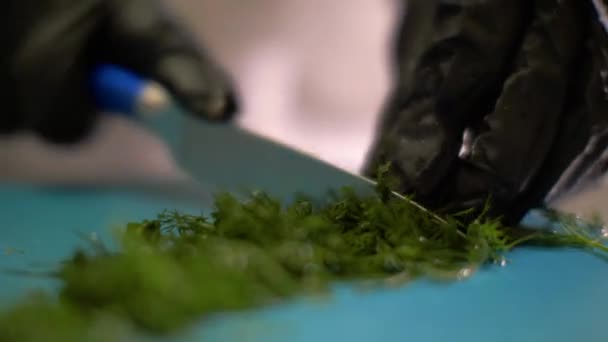 Mani di chef che tagliano aneto fresco per cucinare la cena nel ristorante da vicino — Video Stock