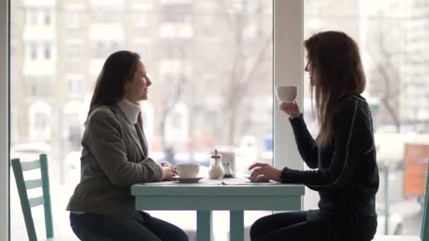 Två kvinna vänner sitter vid bord och dricker kaffe från cup i cafeterian — Stockvideo