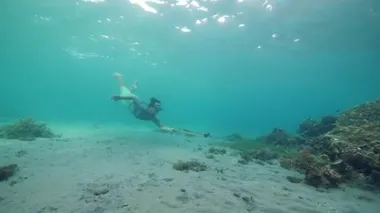 Sualtı sahnesinde, bir balık avcısı tahta zıpkınla balık yakalamaya çalışır..