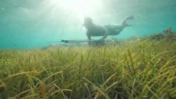 Krásná podvodní scéna muže spearfisher plavání v blízkosti mořských trav. — Stock video