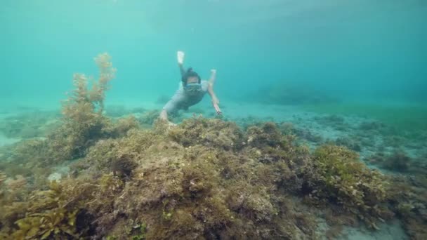 Young spearfisherman with a mask swimming underwater and looking for fish. — Stockvideo