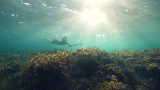 Unterwasser-Speerfischer Mann mit Pistole Speerfischen im Meer oder Ozean. — Stockvideo