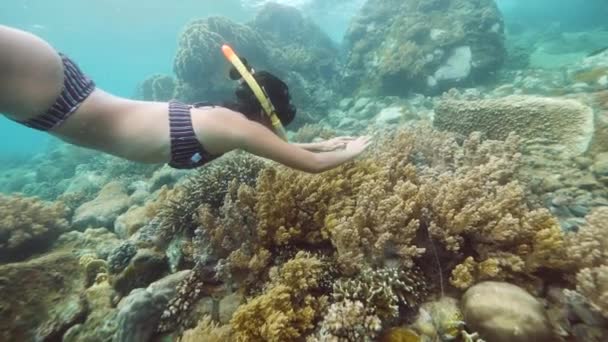 Mladá brunetka žena snorekeling a plavání pod mořem. — Stock video
