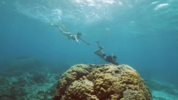 Dos mujeres haciendo snorkel en el océano nadando bajo el agua . — Vídeos de Stock