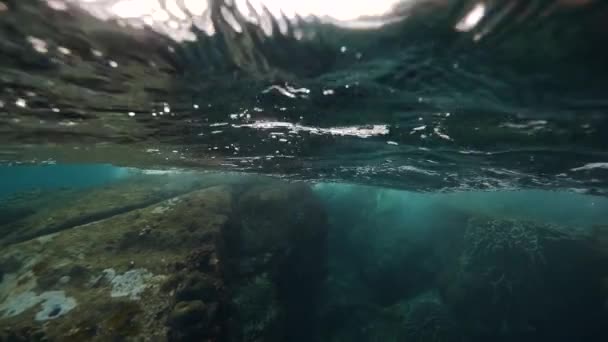 Polovina záběru malebného výhledu mezi podmořem a tropickým ostrovem. — Stock video