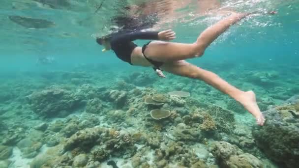 Una mujer joven con cuerpo sexy wimming bajo el agua con máscara de snorkel . — Vídeos de Stock