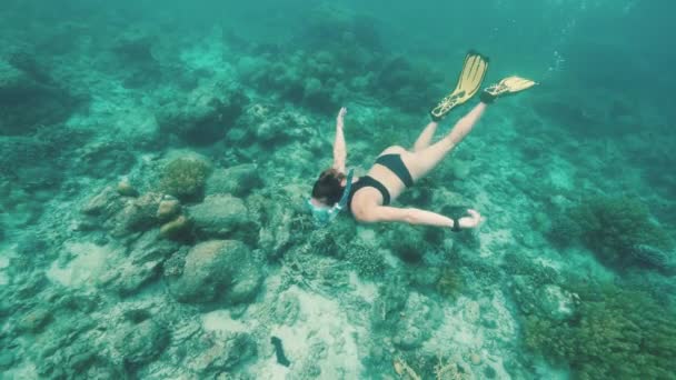 En kaukasisk kvinna i bikini simmar med fenor och mask under vattnet. — Stockvideo