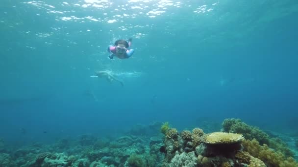 Meisje zwemmen in de blauwe oceaan met vinnen en masker. — Stockvideo