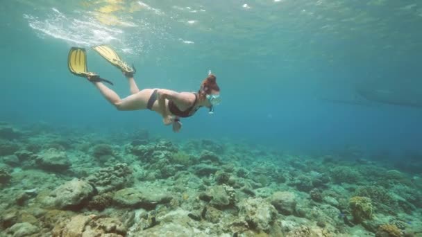 Joven mujer caucásica en bikini nadando bajo el océano con corales . — Vídeos de Stock