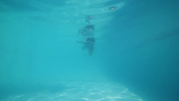 Девушка в маске для подводного плавания ныряет и плавает в бассейне под водой, вид снизу . — стоковое видео