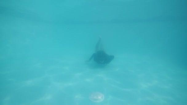 Attractive asian girl in snorkeling mask diving in pool and swimming underwater. — Stock Video