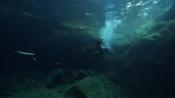 Unterwasseraufnahme: Eine Frau schwimmt unter Wasser in einem glasklaren Wasserfall. — Stockvideo