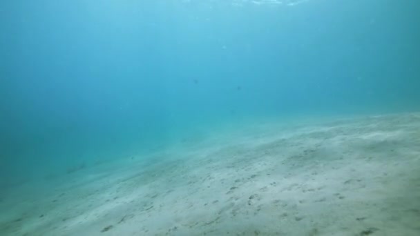 Sandy dasar laut dengan sinar matahari bersinar melalui air murni biru dan pasir putih . — Stok Video