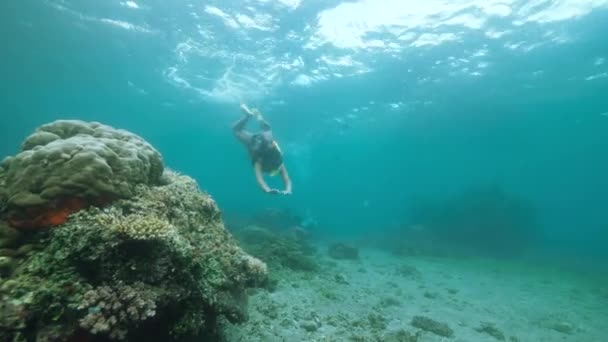 Una mujer buceadora nadando bajo el agua en el océano azul profundo lleno de corales . — Vídeos de Stock