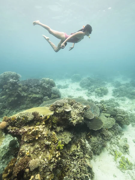 Sexig ung kvinna i ett stycke bikini snorekeling under havet nära korallrev — Stockfoto
