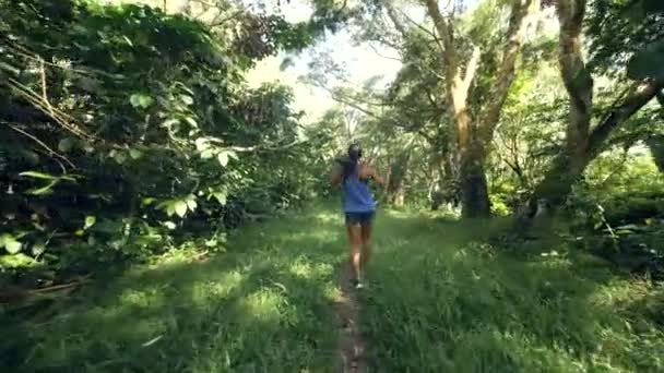 Mujer joven bailando mientras camina por el bosque. Concepto de libertad y felicidad . — Vídeos de Stock