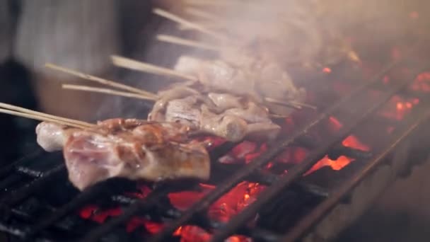 Close up shot of chicken barbecue. — Stok video