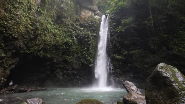 Real time shot at captivating beauty of a rainforest waterfall in the jungle.. — Stok video