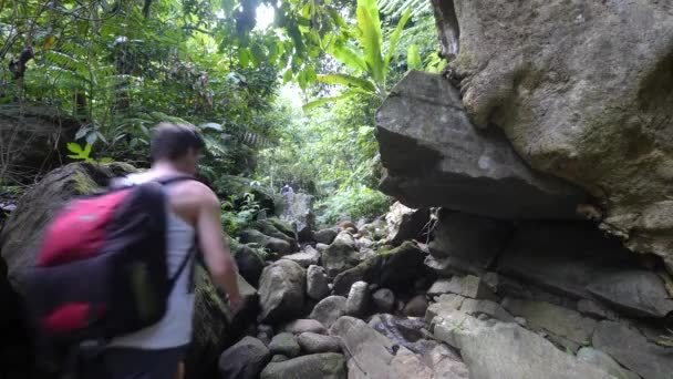 Férfi túrázó hátizsákkal séta a nagy sziklák a trópusi dzsungelben. — Stock videók