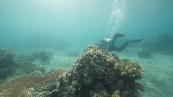 Tropikal okyanusta yüzen bir tüplü dalgıç mercan ve diğer deniz yaşamlarıyla zengindir.. — Stok video