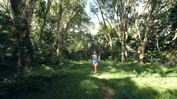 Jeune femme insouciante marchant sur le sentier vert au milieu de la forêt . — Video