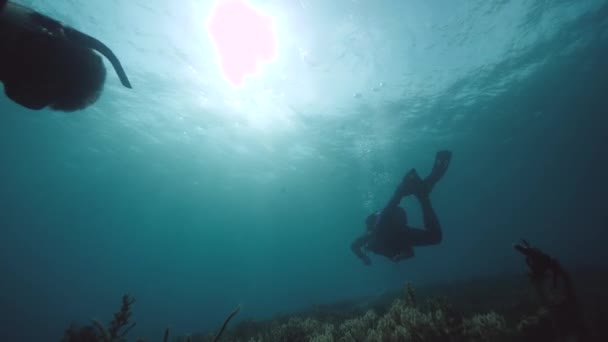 Duikers zwemmen onderwater in de blauwe zonovergoten oceaan. — Stockvideo