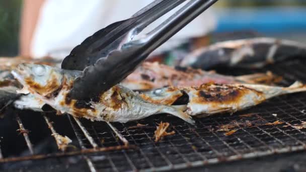 Närbild skott av läcker färsk fisk på järn bricka grillas på träkol. — Stockvideo