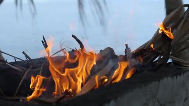 Homens queimando folhas secas de coco pegando carvão no fogo para festa de churrasqueira na praia — Vídeo de Stock