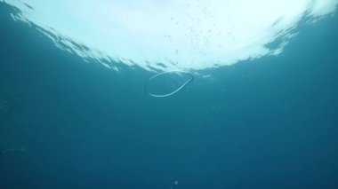 Su altı baloncuk halkası yavaşça aşağı süzülüyor ve kırılıyor.