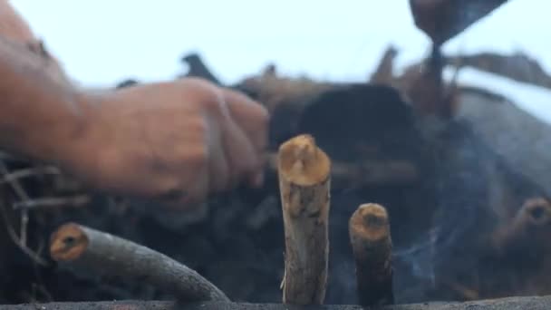 Männliche Hände bereiten trockene Hölzer und Blätter für Grillparty vor. — Stockvideo