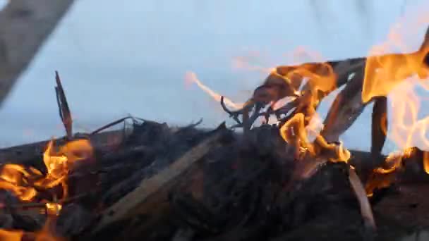 Manos de hombres prendiendo fuego quemando hojas secas de coco y madera . — Vídeos de Stock