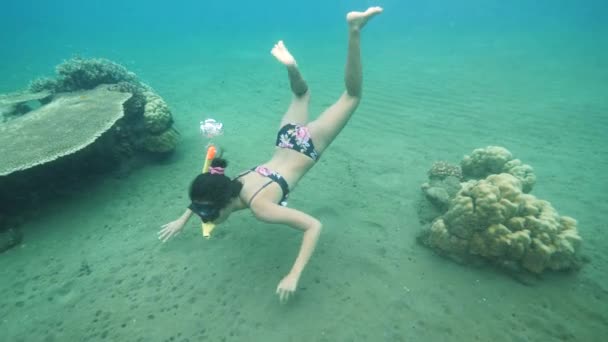 Young sexy woman enjoys snorkeling underwater watching the corals. — Stock Video