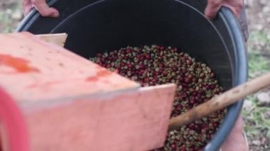 Kahveli kahve makinesinde kahve çekirdeği..