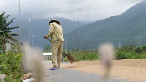 Ein männlicher Bauer beim Besen getrockneten Reis auf der Straße in Asien. — Stockvideo