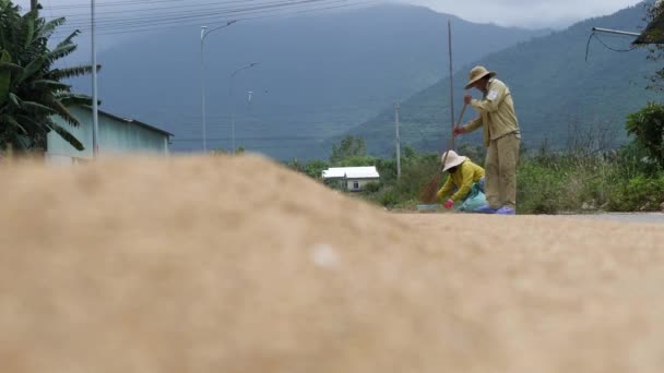 Hue, Vietnam- 05 02 2020: Los agricultores asiáticos secan arroz cosechado en la carretera . — Vídeos de Stock