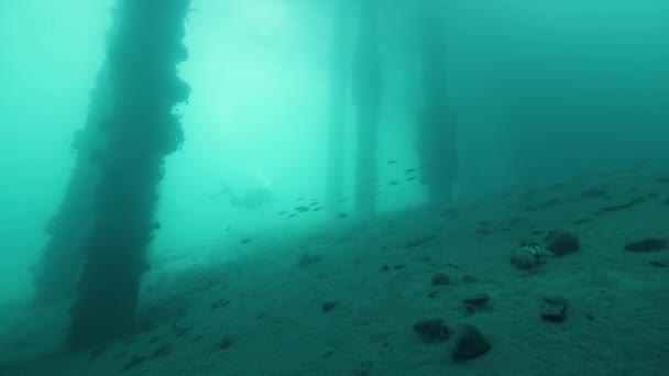 Nurk pływający pod molo w pobliżu słupów w dnie morza. — Wideo stockowe