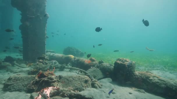 Tuberías de hierro y pilotes submarinos en el océano habitados por corales. arrecife artificial . — Vídeo de stock