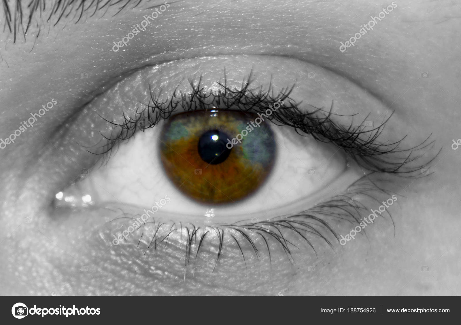 黒と白の本当虹彩異色症と美しい人間の目 ストック写真 C Tervolina Mail Ru