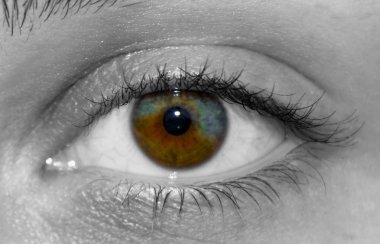 A beautiful  human eye with real heterochromia in  black and white clipart